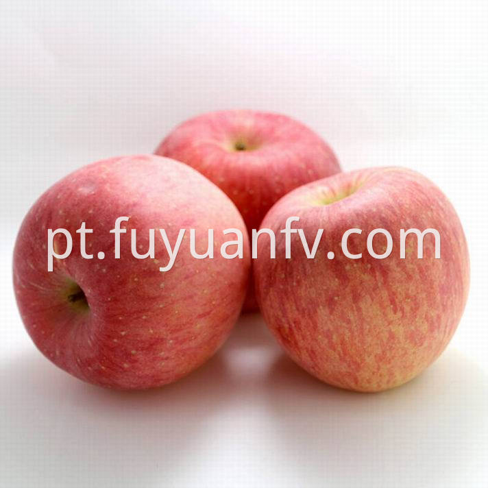 Fuji Apple 29